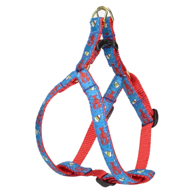- Cat nail clippers with LED lights Teacup Harness | Lobster & Buoy