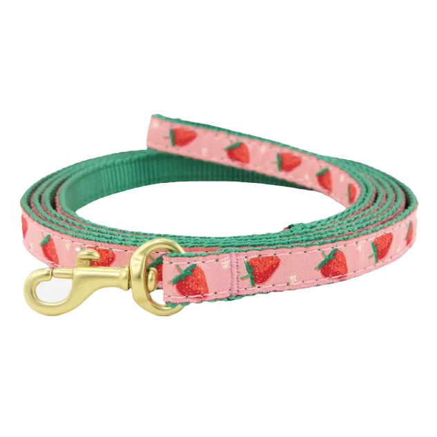 - Remote interactive pet feeder Teacup Leash | Strawberry Fields