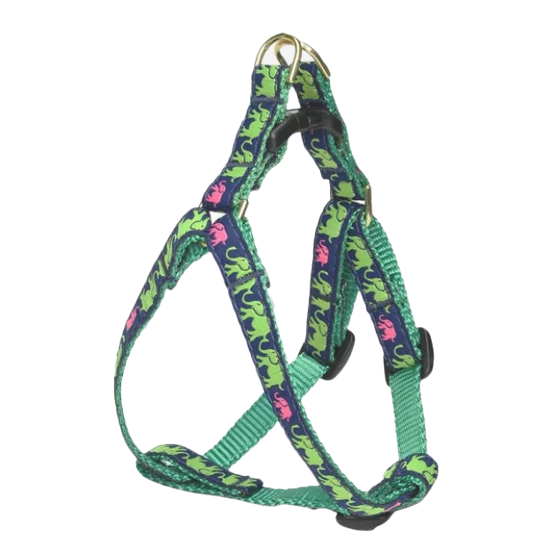 - Dog heart rate monitoring collar Teacup Harness | Leader Of The Pach