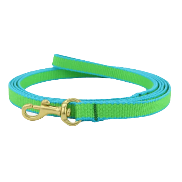 - Pet diabetes prescription food Teacup Leash | Lime & Aqua