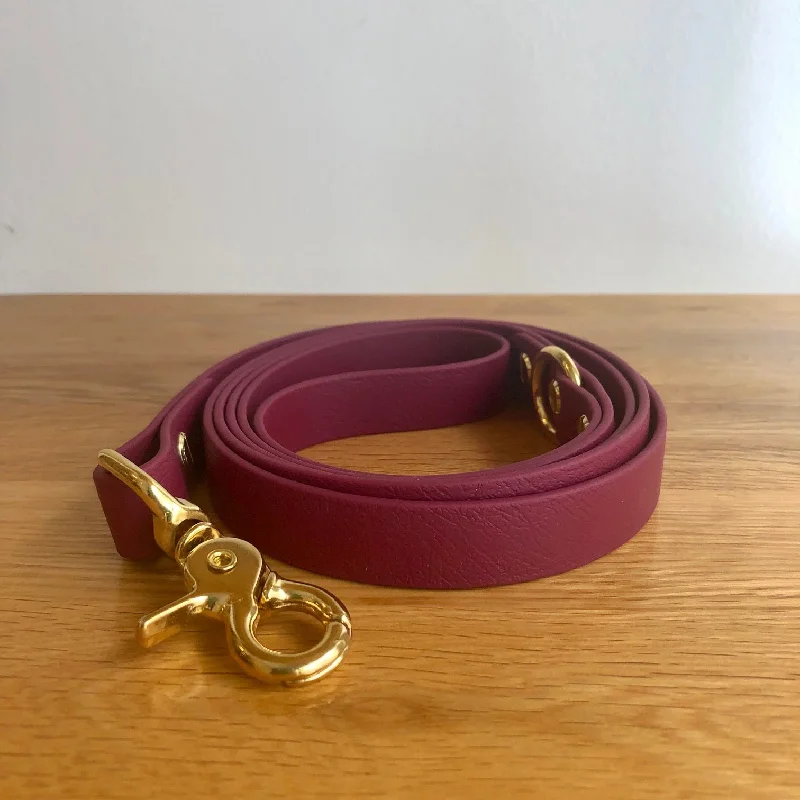 - Dog disposable foam shower gel Lead Me Pet Co - Biothane Leash - Wine