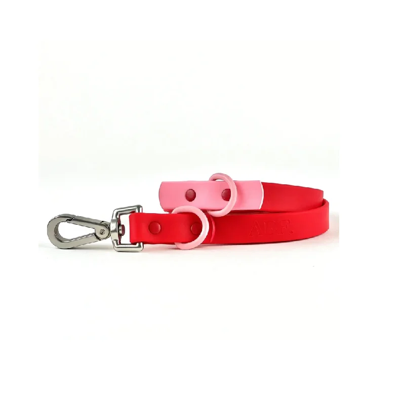 - Dog disposable foam shower gel Approved by Fritz - Red Leash