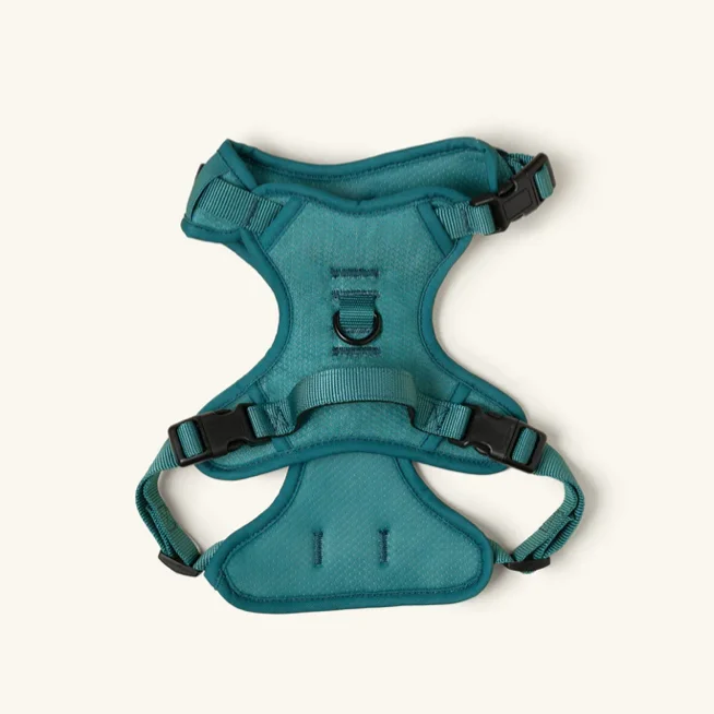  -Non-contact cat thermometer Peachy dogs - Classic harness 2.0 Mojito
