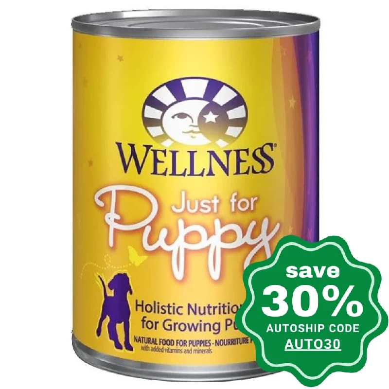 Wellness - Complete Health Puppies - Wet Dog Food - Beef With Carrots - 12.5OZ (Min. 12 Cans)